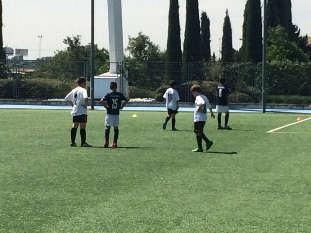 31af4a7b-167c-40ab-a5da-4f5717880a28